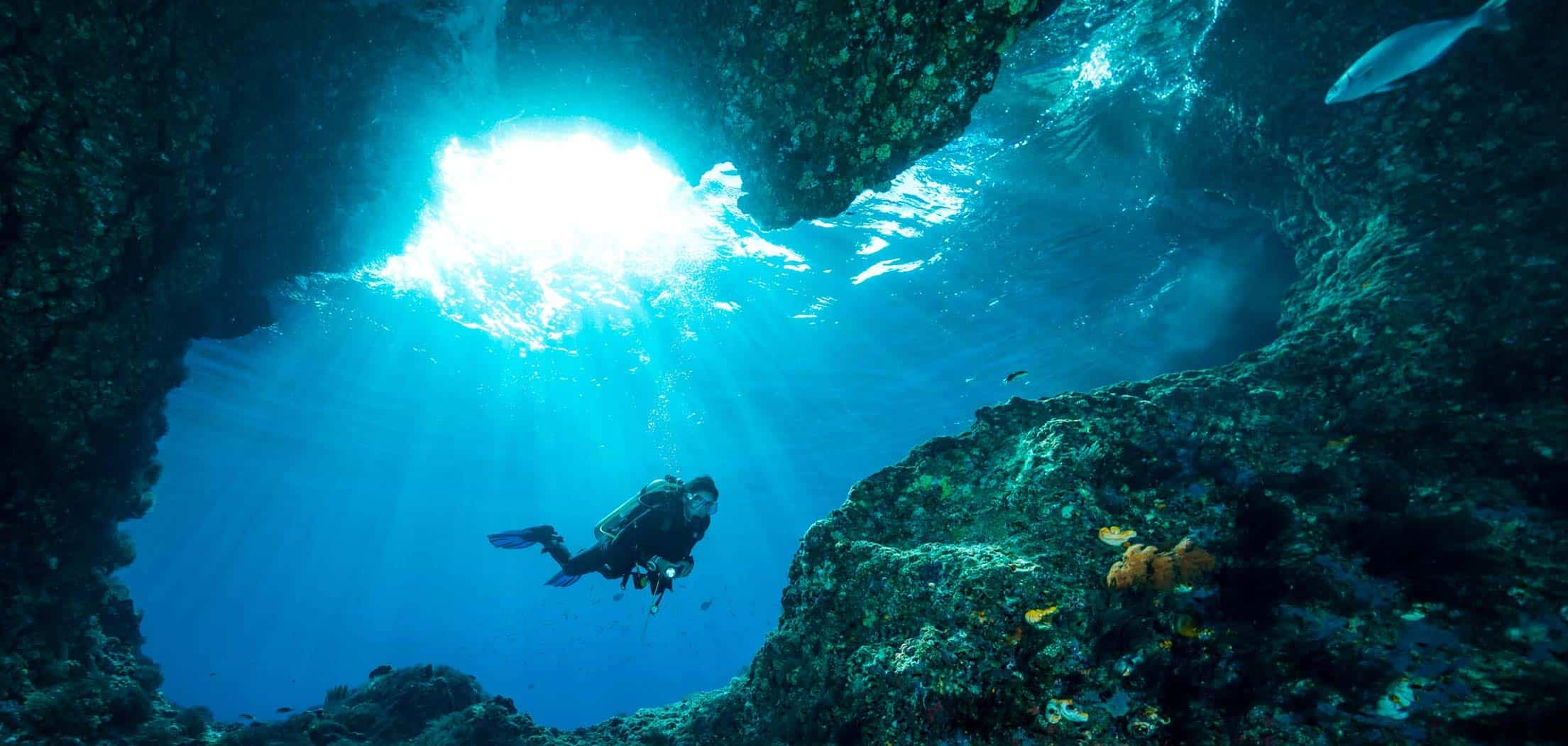 An Unparalleled Network of Experts in Asia