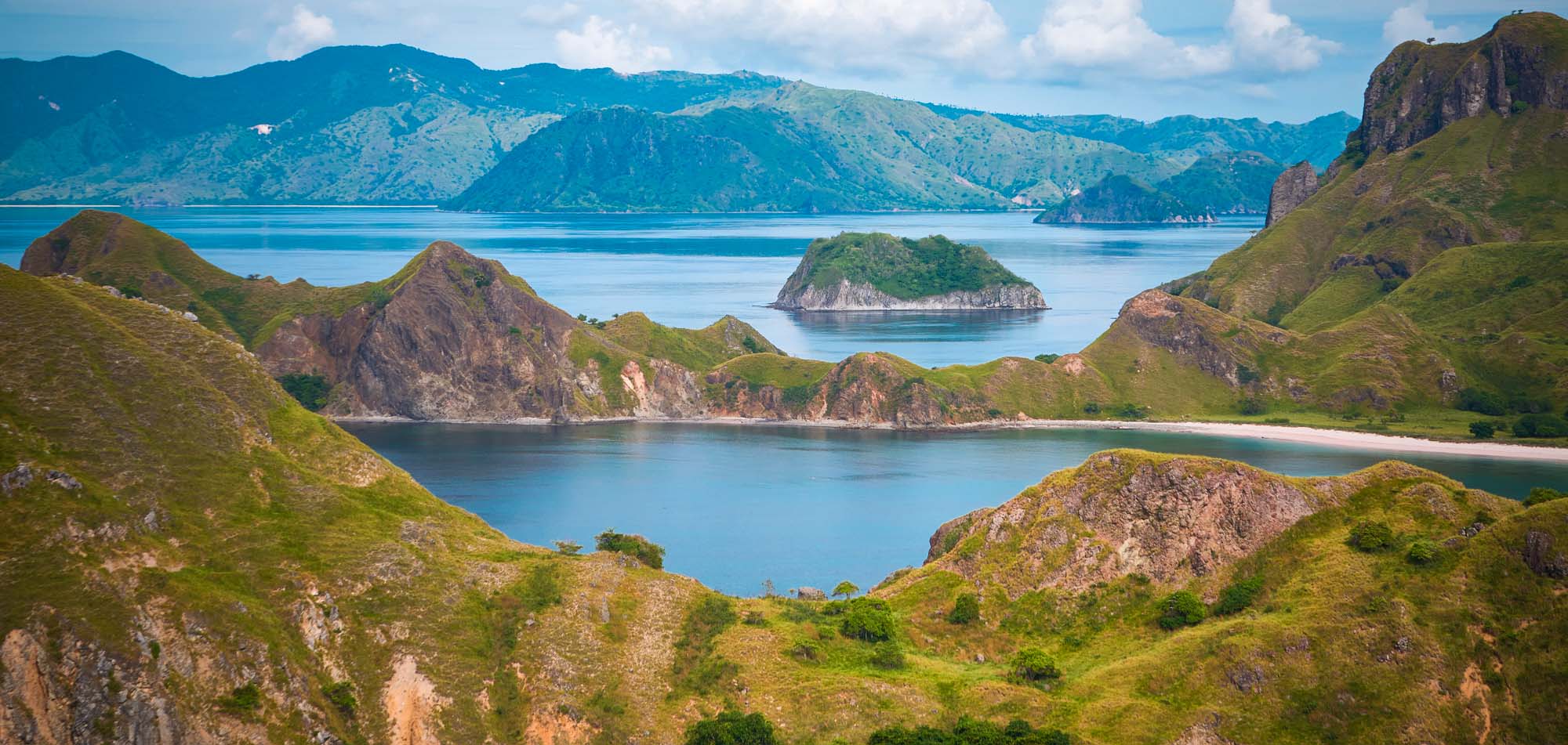 A Prehistoric Paradise