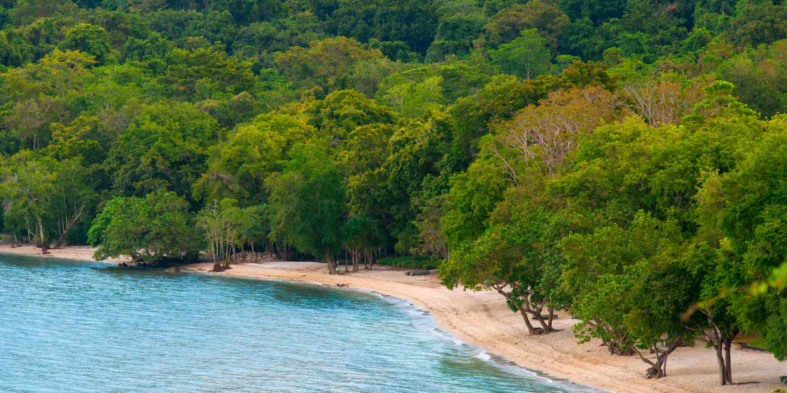 Moyo’s Wild Nature Reserve