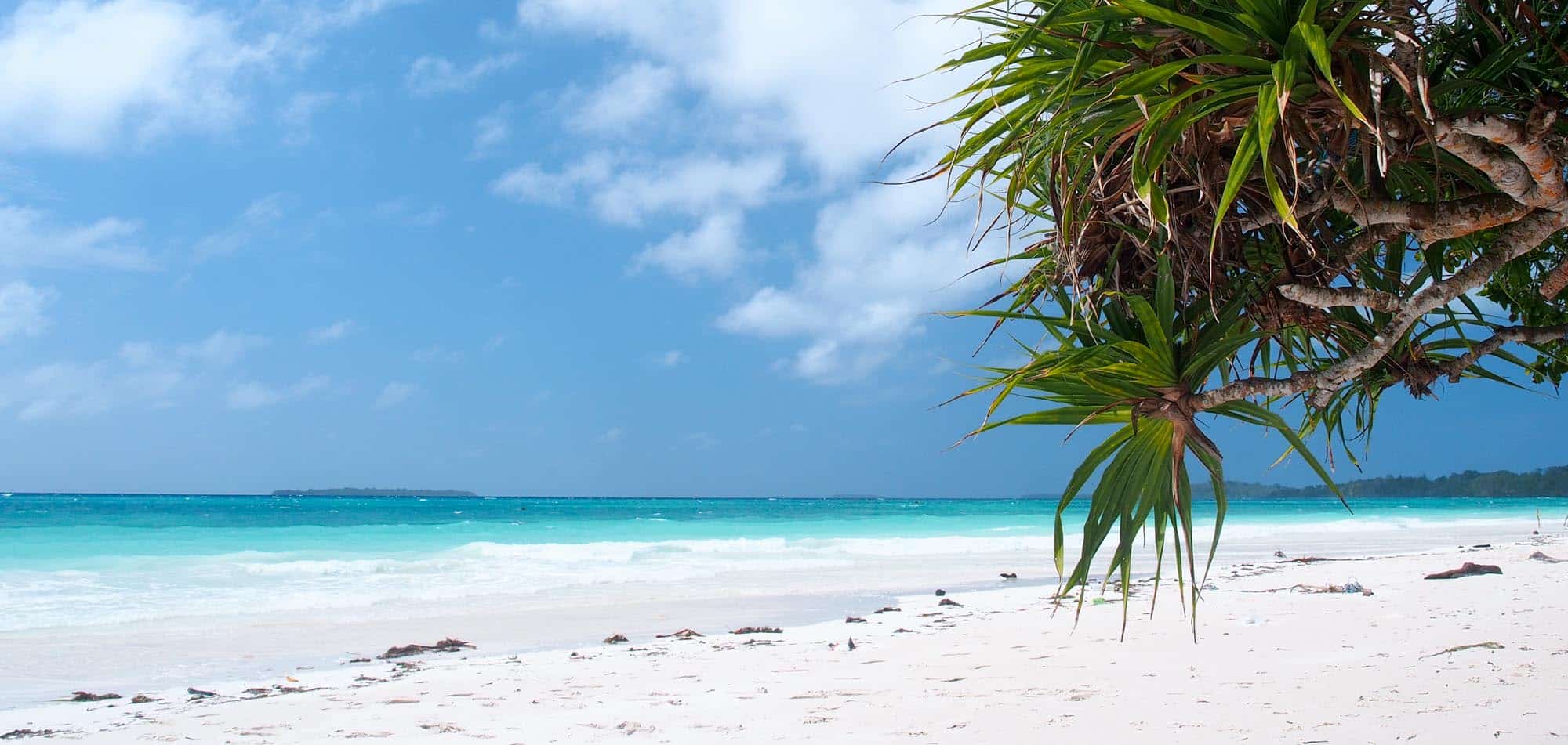 The Forgotten Islands