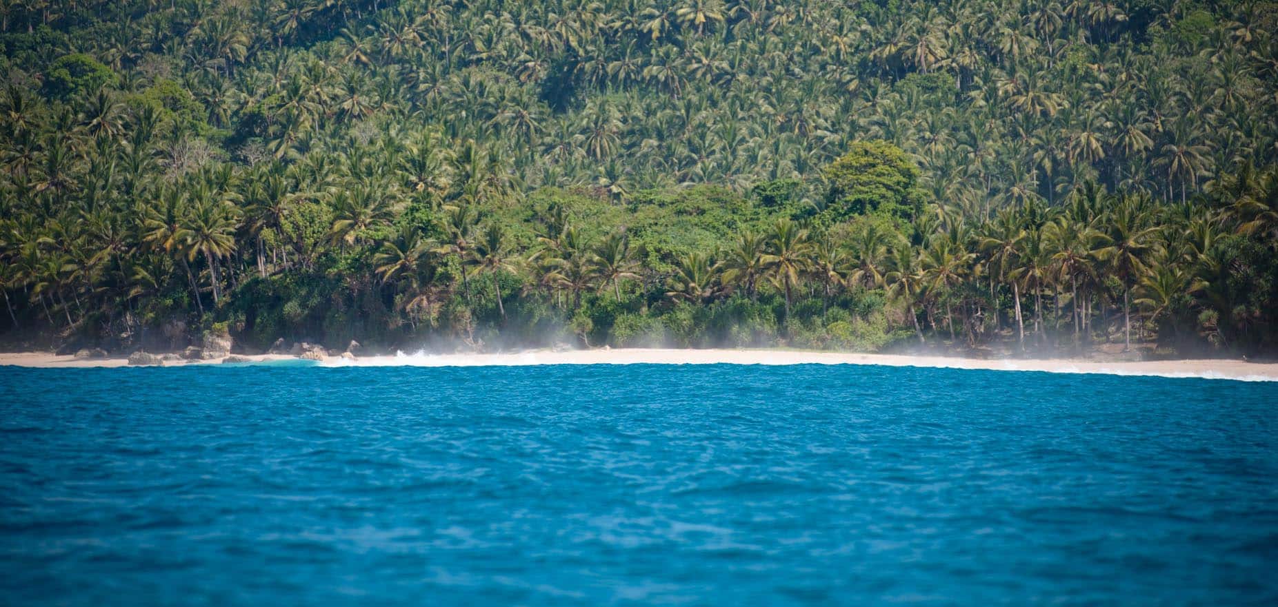A Wild Coastline with Endless, Empty Waves