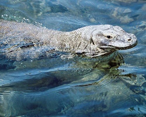 indo-yachts-story-10